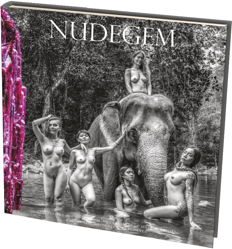 NudeGem Book