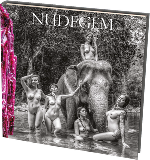 NudeGem E-Book (.pdf)